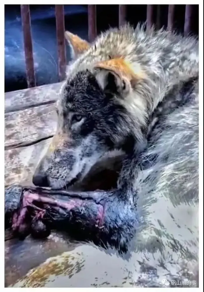 av狼网址_av狼网址_av狼网址