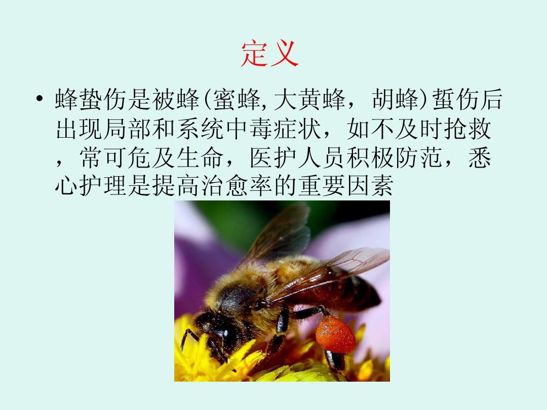 黄蜂蛰了怎么办_黄蜂蛰_黄蜂蛰了症状