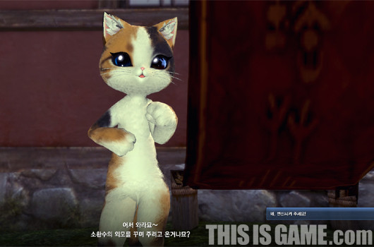 剑灵压猫条件_剑灵猫咪头带_剑灵压猫什么意思