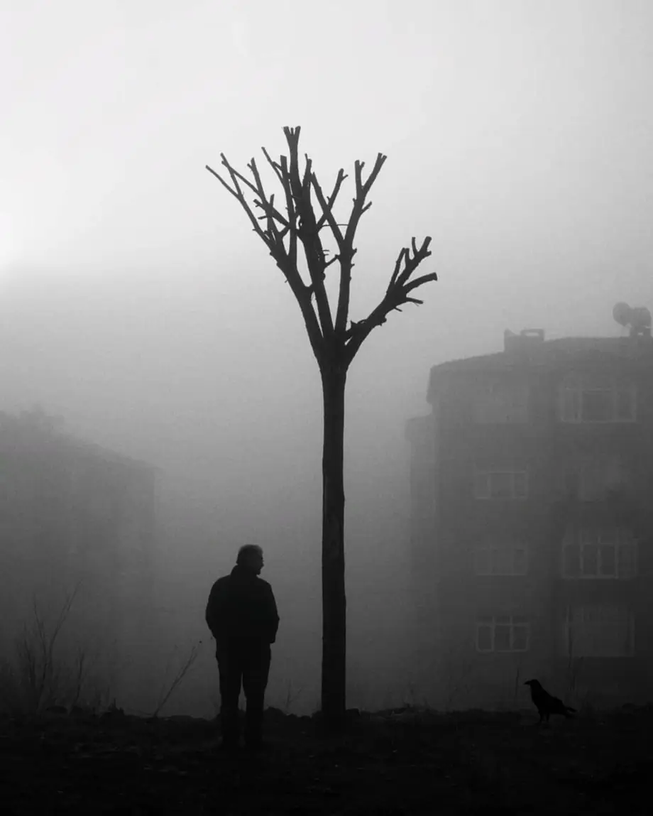图片搜索_鱼图片大全图片图片_三联图片