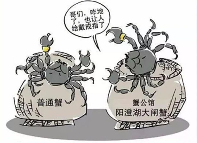 螃蟹模式_螃蟹模式图_蟹行crab模式