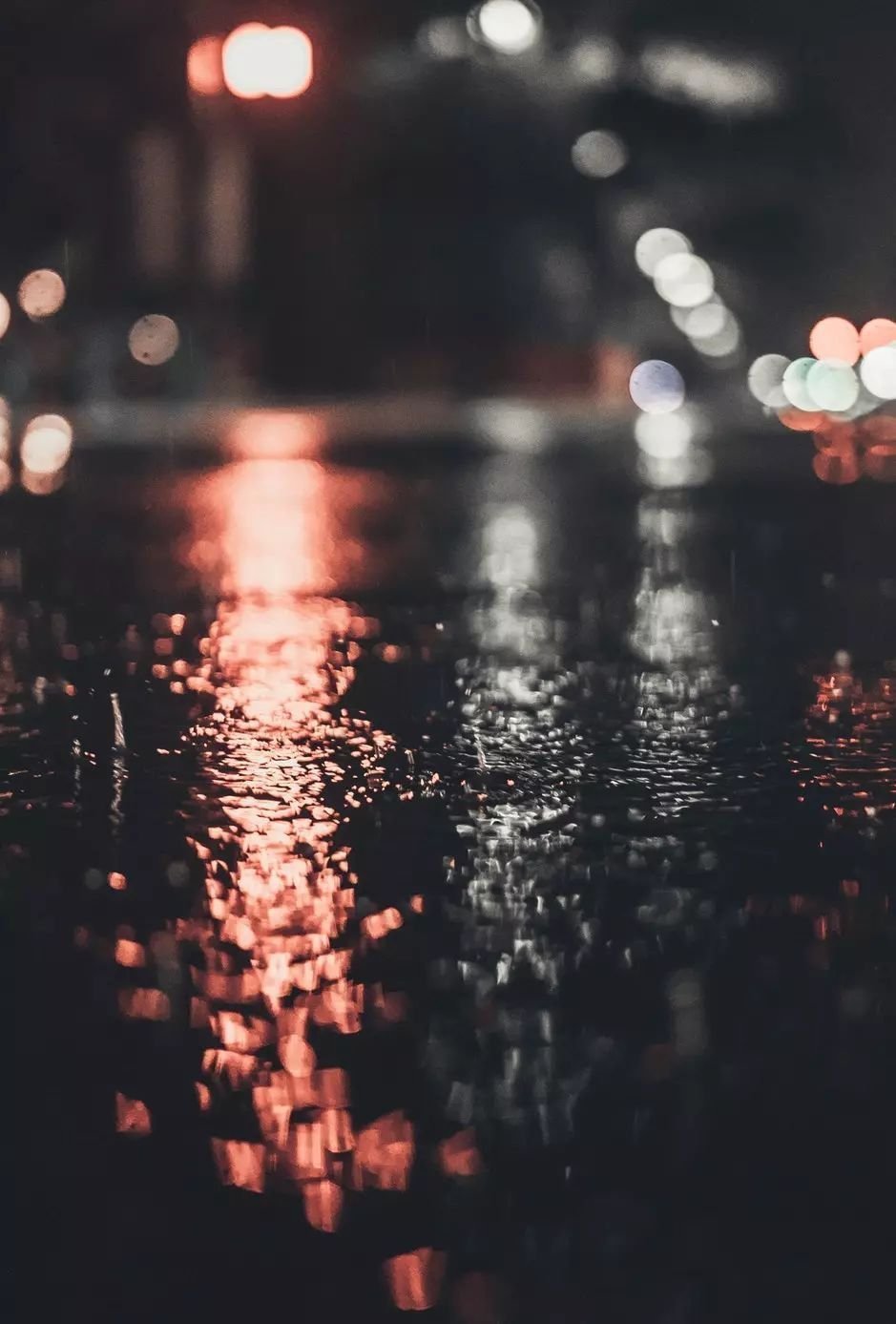 雨后的故事gif_雨后故事作文_雨后故事改编版下载