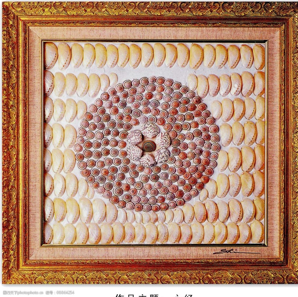 贝壳大全画儿童图片可爱_贝壳画作品图片大全儿童_儿童画贝壳图片大全