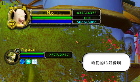 魔兽窗口化提取码-魔兽提取码：刷新快，界面美，让你轻松获取资