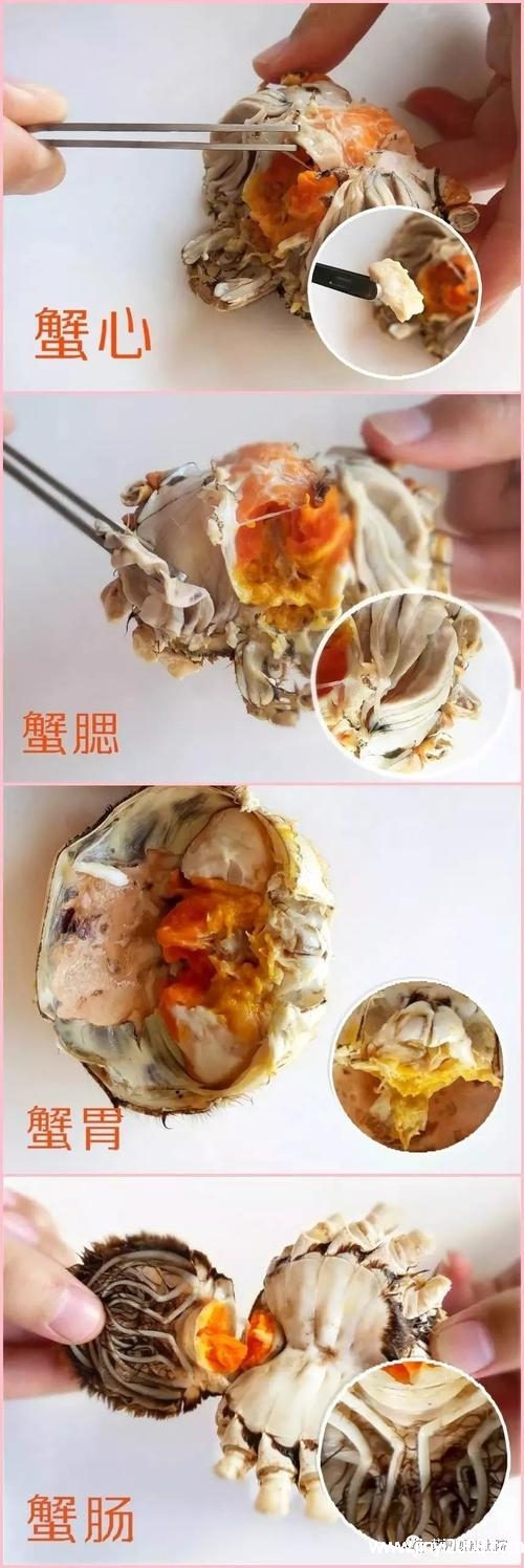 海底大猎杀螃蟹走不动路bug-海底大猎杀螃蟹秘籍：选对地点、