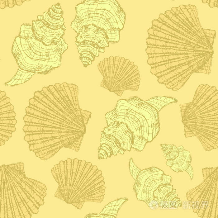 贝壳素描画_贝壳素描教程_贝壳素描画图片大全