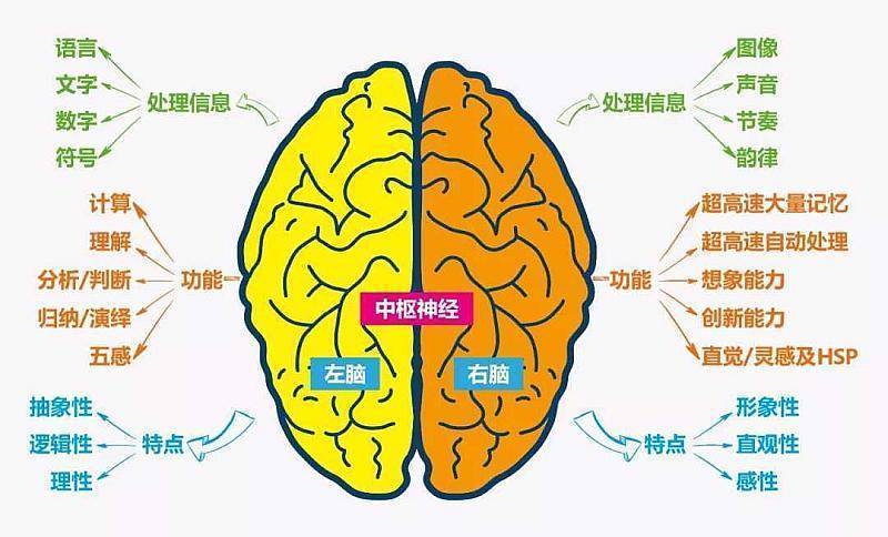 单词开头第一个字母的关系_单词开头第一个字母要大写吗_dic开头的单词