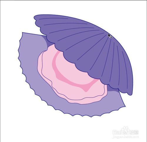 贝壳简笔画大全图片大全_贝壳简笔图片大全_贝壳笔简大全图片高清