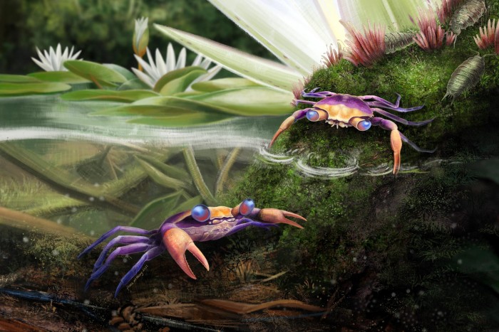 探索螃蟹模式生物：神秘世界中的适应与生存技巧