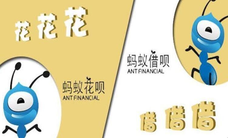 花是怎样的_花是植物的什么器官_花呗是什么