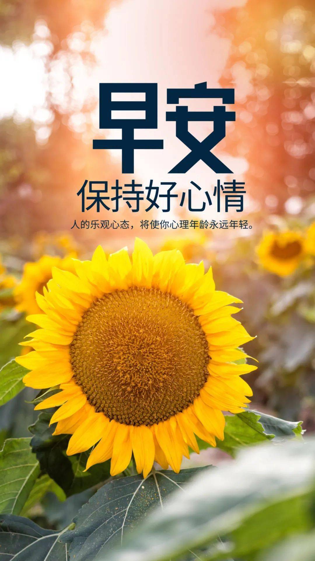 有没有清凉点的游戏手机_比较清凉的游戏_清凉游戏名字