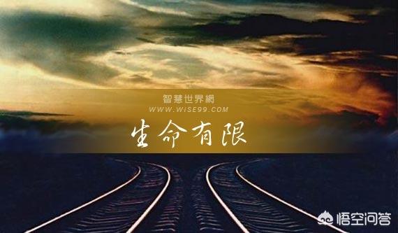 月日字号什么意思_9月3号是什么日子_月日是啥意思