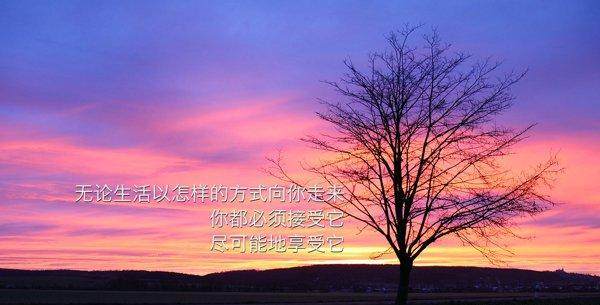 买卖泰达币判刑_买卖犯罪币泰达构成犯罪吗_买卖泰达币构成什么犯罪