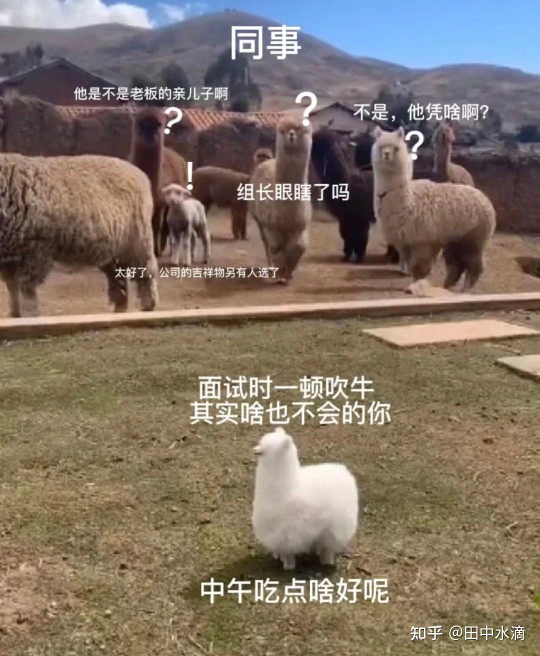 教你抖音变现是真的吗_抖音变现_抖音变现教程视频