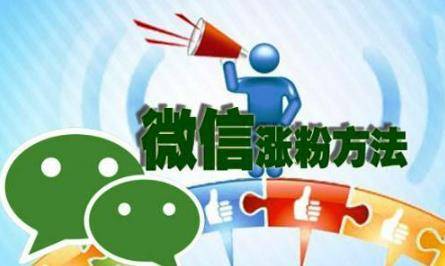 微商加粉王下载_微商加粉app_粉商是什么意思啊