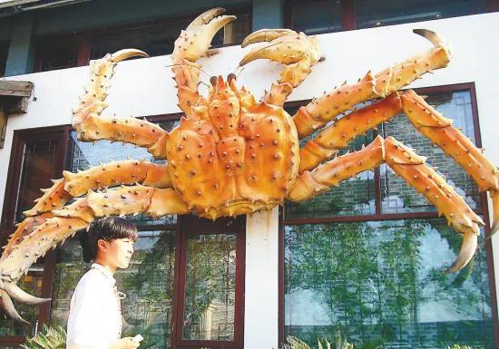 螃蟹生物模式是什么_螃蟹生物模式图_螃蟹模式生物
