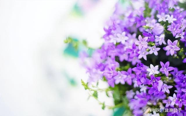 光猫光信号灯不亮没有网_猫灯信号不亮没网有什么影响_猫灯信号不亮了是怎么回事