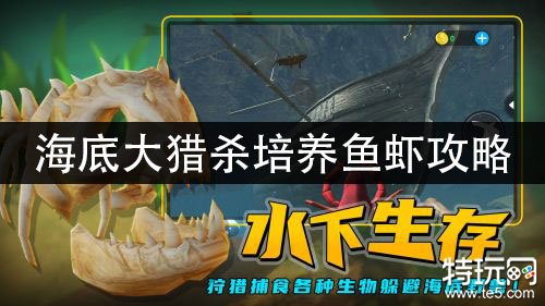 螃蟹的海底大猎杀_海底大猎杀大螃蟹_海底大猎杀中文版 螃蟹