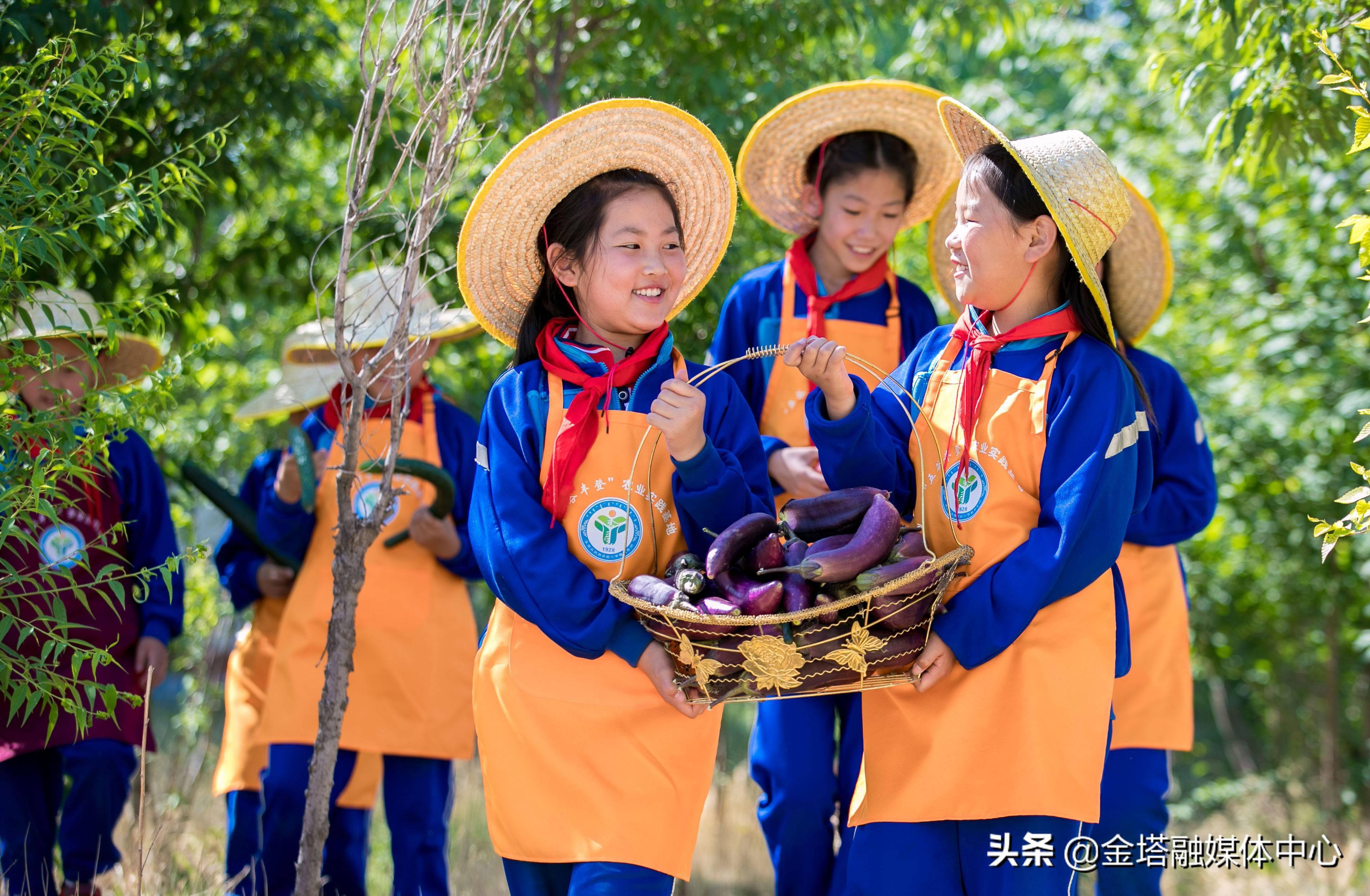 自助烧烤农家乐设计效果图_农家自助烧烤经营模式_开心农场自助烧烤