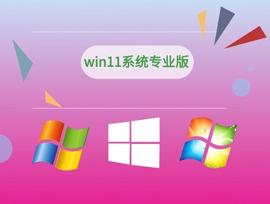 家庭版专业版有什么区别_专业版跟家庭版哪个流畅_家庭版流畅还是专业版流畅