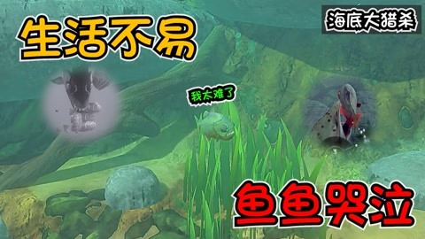 海底大猎杀螃蟹掉落的法杖_螃蟹的海底大猎杀视频_海底大猎杀中文版 螃蟹