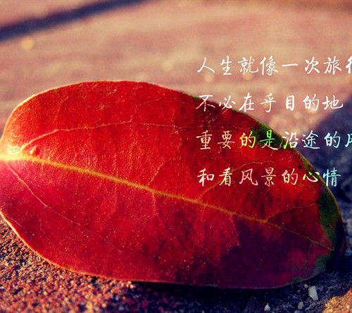 寝取られ_寝取られ_寝取られ