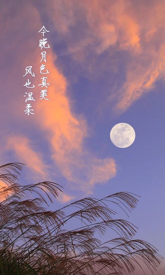 图片2024新图片_18yaxjalap图片_图片2023新图片