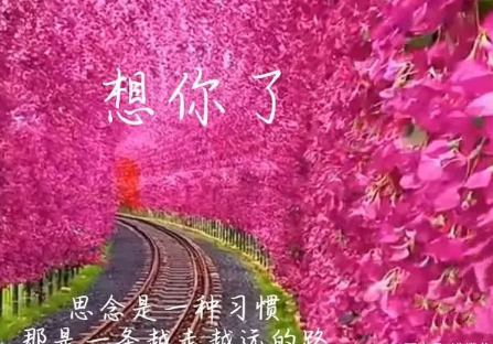 思源宋体可以商用吗_思源宋体字体下载_思源宋体