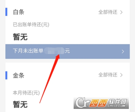 京东白条还款模式_京东白条还款支付方式有几种_京东白条一次性还款怎么操作
