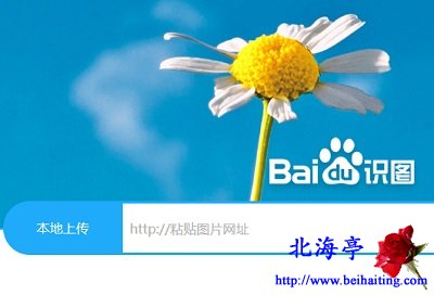 百度识图网页版登录入口_百度识图网页版_百度识图网页版知乎