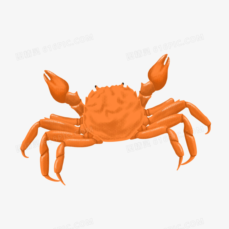 螃蟹生态系统_螃蟹生物模式是什么_螃蟹模式生物
