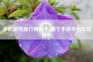 十大最火游戏下载手机游戏_十大最火游戏下载手机游戏_十大最火游戏下载手机游戏