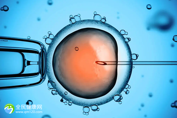 全民坦之战哪个厉害_全民坦之战兑换码_全民坦之战狂雷哪里买