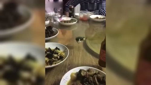 划拳小游戏,C语言实现经典划拳游戏