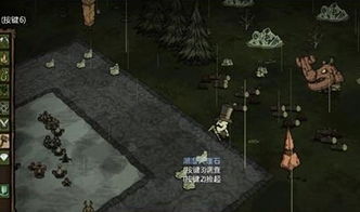 功夫回旋镖 