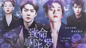 橙光游戏exo边伯贤,星光璀璨的偶像养成记