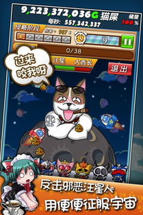 猫屎游戏,揭秘猫咪世界的奇幻冒险之旅