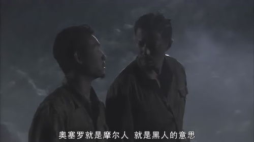 宠物翻译专家宠物翻译器免费下载v1.0.0最新版2024 
