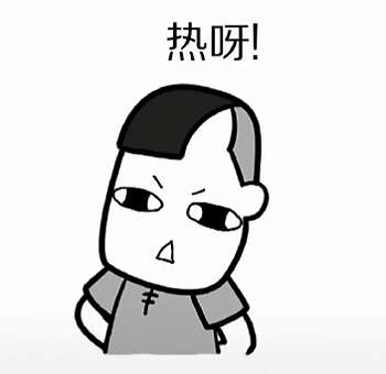 狂热的小猫 