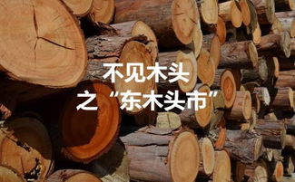 木头人生存挑战 
