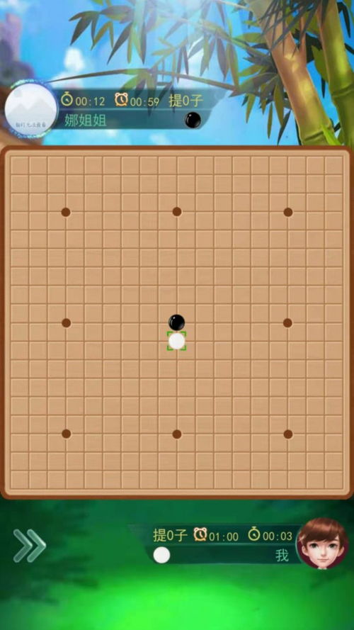 有围棋游戏吗,体验古老智慧与现代竞技的完美融合