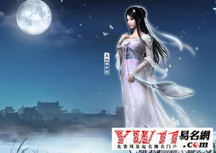 女游戏角色名,探寻神秘女侠的传奇故事