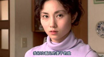爱妻日记游戏,温馨回忆