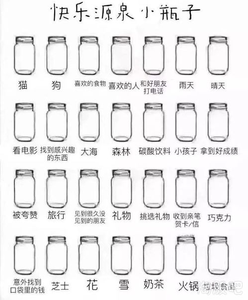 瓶子游戏规则,一场考验团队协作与策略的趣味挑战