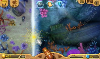 捕小鱼游戏,欢乐海洋中的竞技冒险之旅